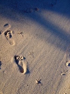 sand of Aitutaki